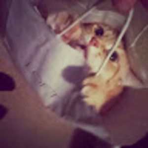 Meet your Posher, Hannah